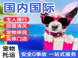 德宏芒市机场空运国际宠物托运 【国